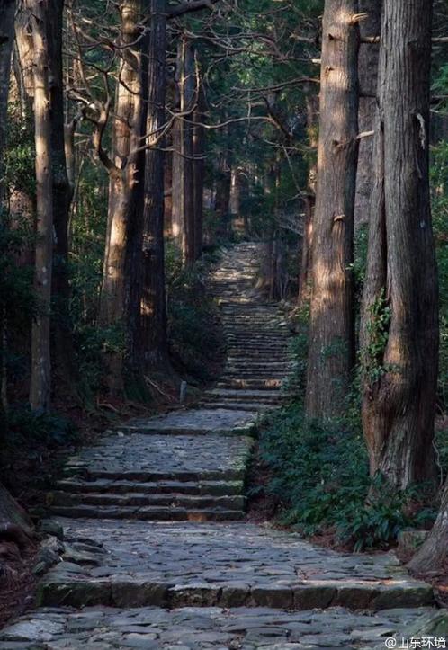 山東十七城市能見(jiàn)度排名